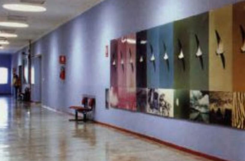 Caos InnovaPuglia, c'è l'ipotesi commissario