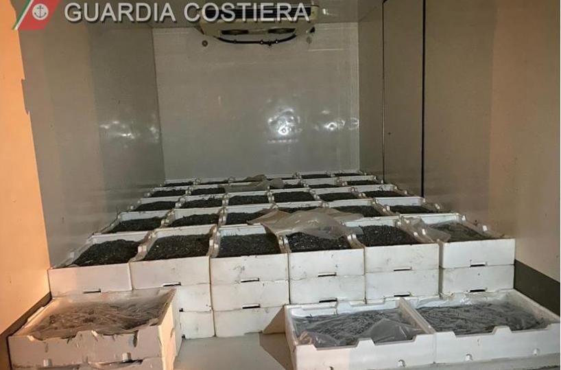Taranto, pesca illegale di «bianchetto»: sequestrati 600 chili di novellame ancora vivo
