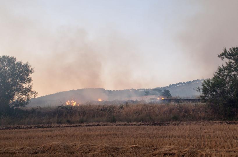 Puglia, incendi boschivi: la Giunta stanzia 100 mln per prevenzione 