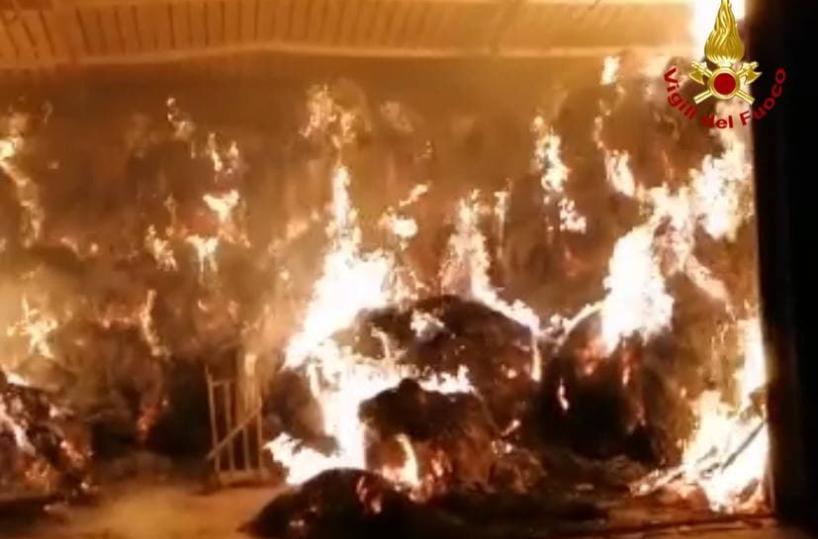 Potenza. prende fuoco capannone agricolo: intervento dei vigili del fuoco