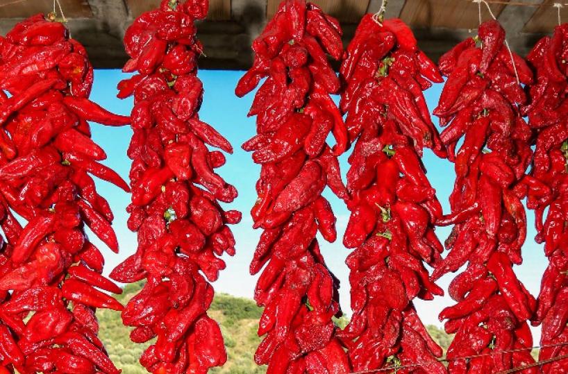 Basilicata, le eccellenze assediate dalle imitazioni