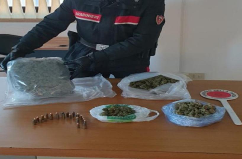 Altamura, in casa con 1,2kg di marijuana: arrestato 21enne