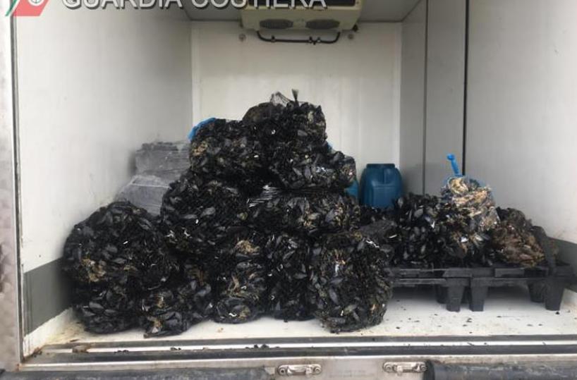 Taranto, sequestrati 8 quintali di cozze di dubbia provenienza: due persone denunciate 