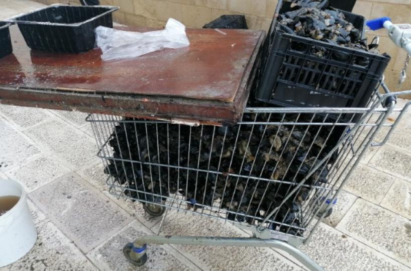 Taranto, vendeva cozze in pessimo stato: 40kg sequestrati, denunciato ambulante