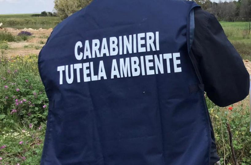 Modugno, gestione illecita rifiuti: sequestrato impianto