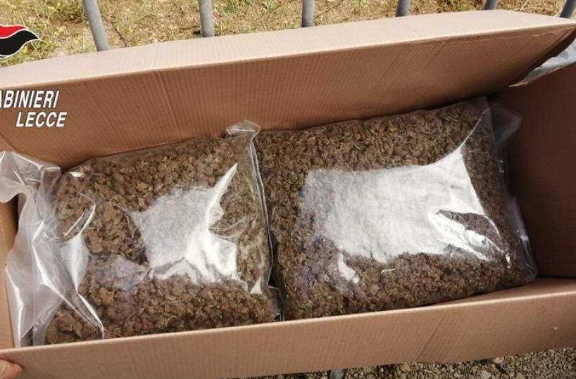 Veglie, beccato con oltre 2kg di marijuana in auto : «L'ho trovata in un casolare»