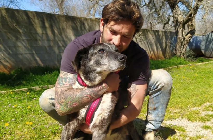 Parabita, storia di Biagio: «Salvo i cani perché loro hanno salvato me»