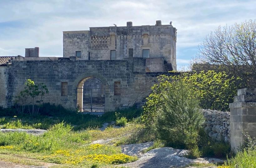 Puglia, da oggi lidi classificati come gli hotel: avranno le &laquo;stelle marine&raquo;