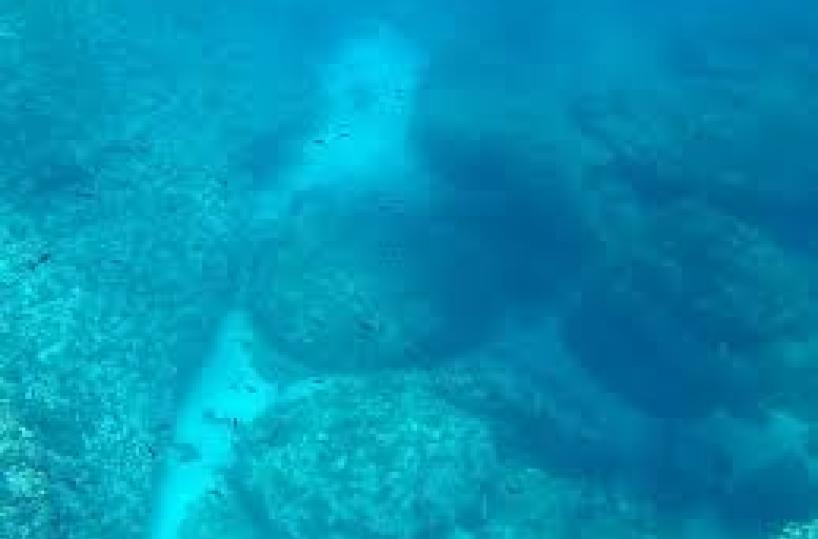 Giornata dell'Ambiente in Puglia, immersioni per liberare i fondali di Leuca dai rifiuti