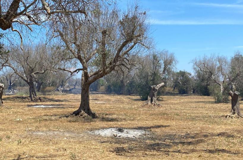 Surbo, intrappolato tra le fiamme: muore 64enne