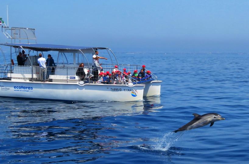 Taranto, al via progetto BioTourS per la ricerca dei delfini nel mar Adriatico