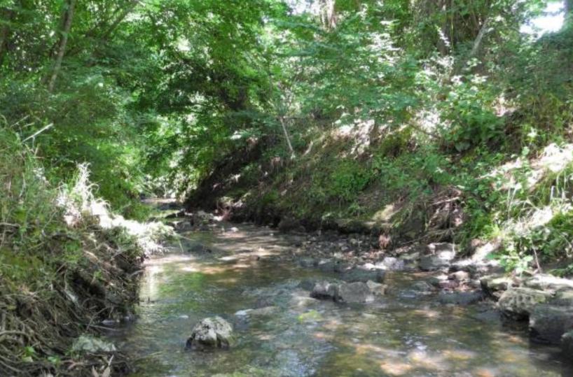Torre Guaceto, niente più reflui in Riserva condotta sottomarina in arrivo