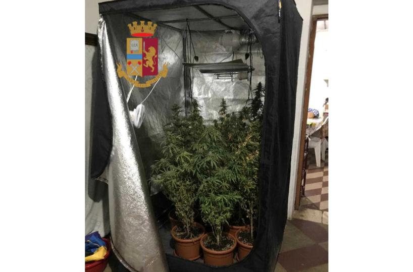 Bari, marijuana in una serra attrezzata in casa, arrestato dalla polizia