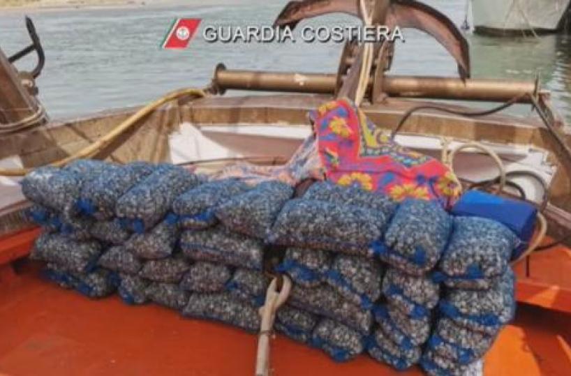 Rodi Garganico: sequestrati quattro quintali di vongole
