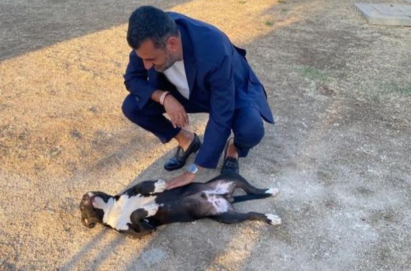 Bari, Decaro coccola il cucciolone Maradona e invita tutti ad adottare i cani