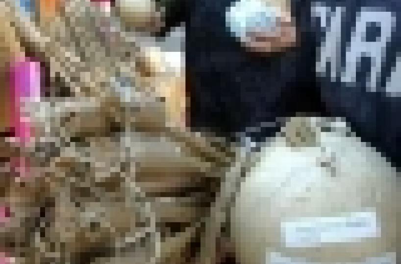 Capodanno: un morto a Napoli per proiettile vagante e ustionati