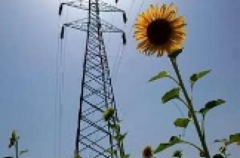 Al via elettrodotto sottomarino tra Valona e Brindisi Sud