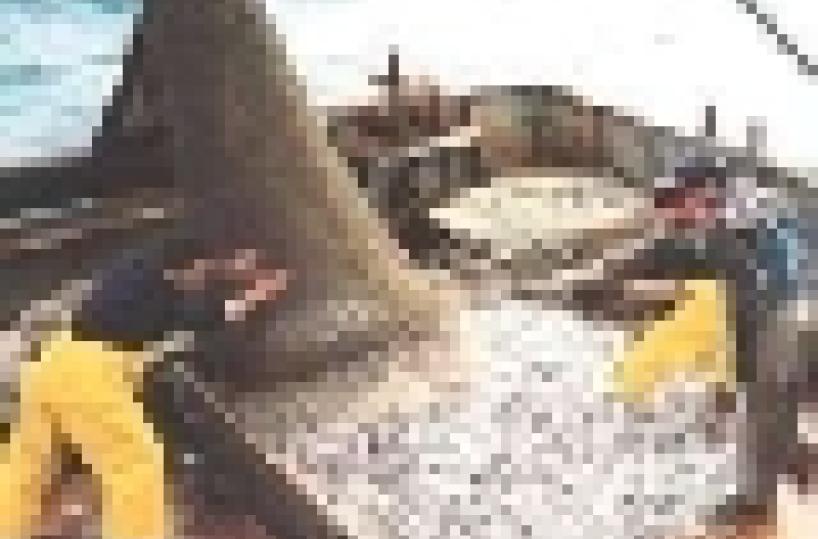 «I licenziamenti per ritorsione»