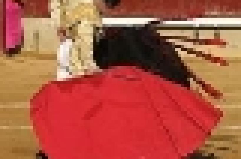 Spagna / Elezioni politiche - In corsa "anti-corrida", pro-cannabis, gay & tanti altri