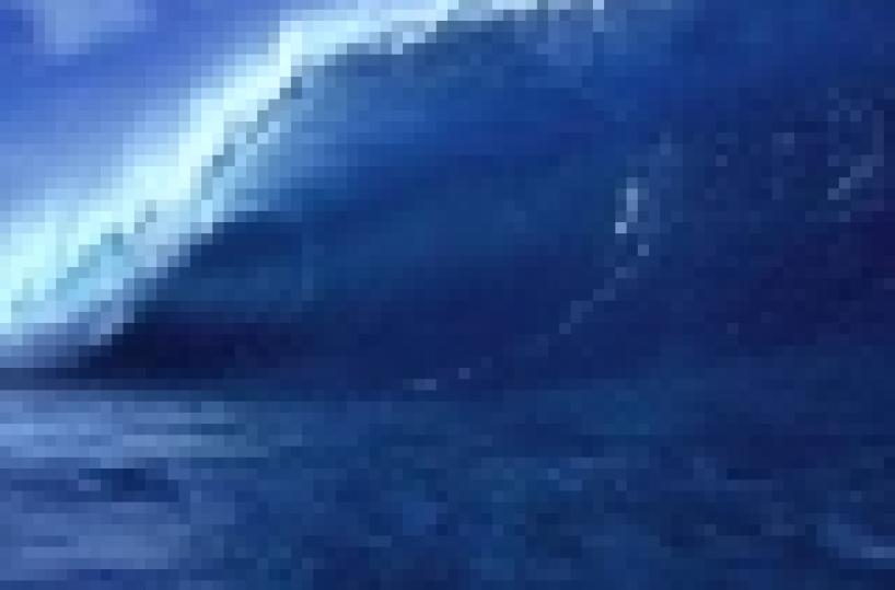 L'impronta dell'uomo sugli oceani