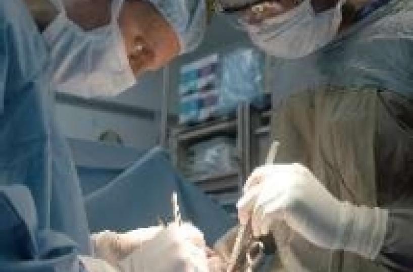 &laquo;Il feto vivo deve essere rianimato&raquo;