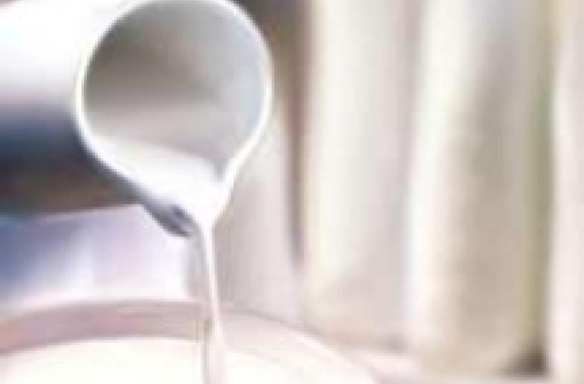 «Psicosi diossina» nel Tarantino