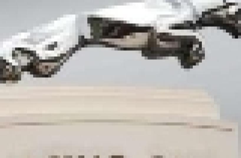 India - La Casa automobilistica Tata compra Jaguar e Land Rover