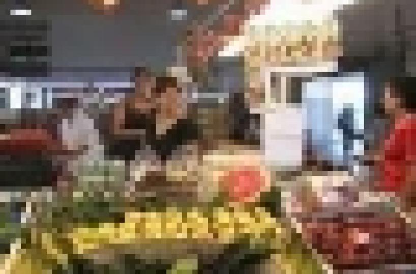 Nel Brindisino un «polo del freddo»