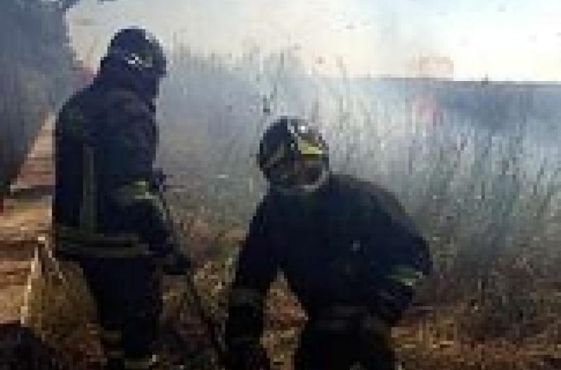 Roghi nel Tarantino, 40 interventi dei Vigili fuoco in un giorno