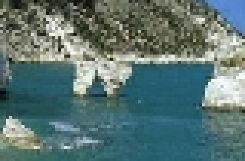 Il Gargano in festa per l'ambiente