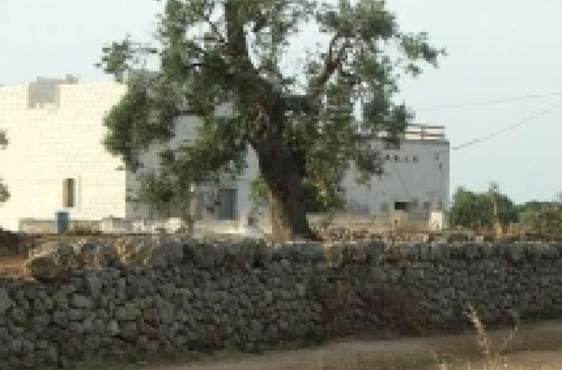 Ecco la masseria che Donadoni ha comprato a Fasano