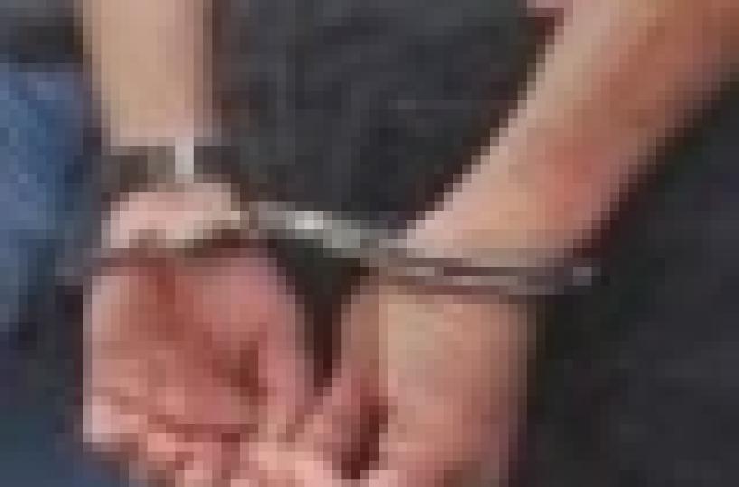 Sgominata banda di italo-albanesi tra loro anche dei pugliesi