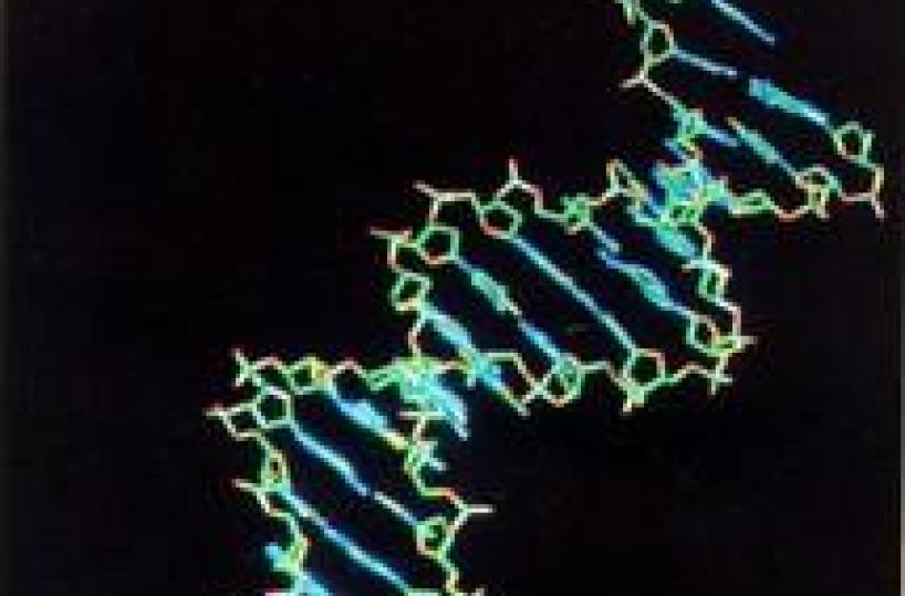 Andria, presentato Myriapodche studia il Dna del cancro