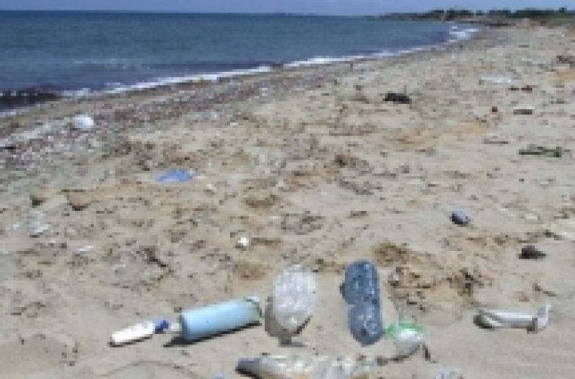 Ostuni: estate alle porte  lidi invasi da detriti