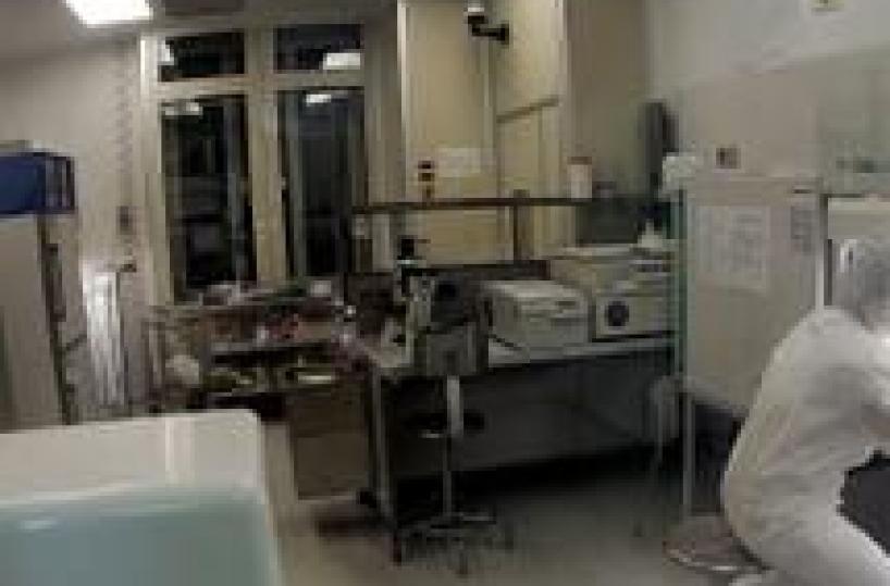 Resuscitato microbo 120mila anni fa