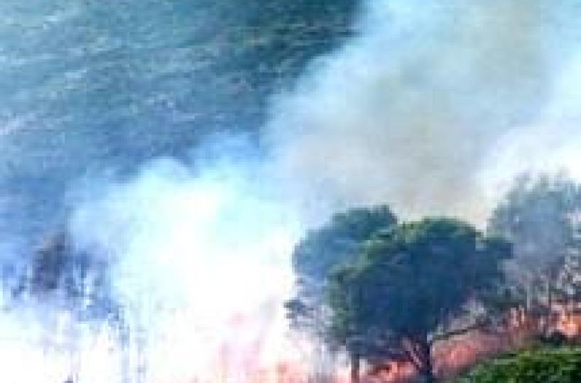Incendi: regista Rai morto infarto