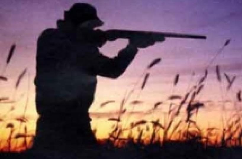 «Caccia aperta» ecco il calendario venatorio in Puglia