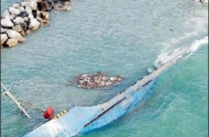 Quelle navi dei veleni&nbsp; affondate nel Gargano