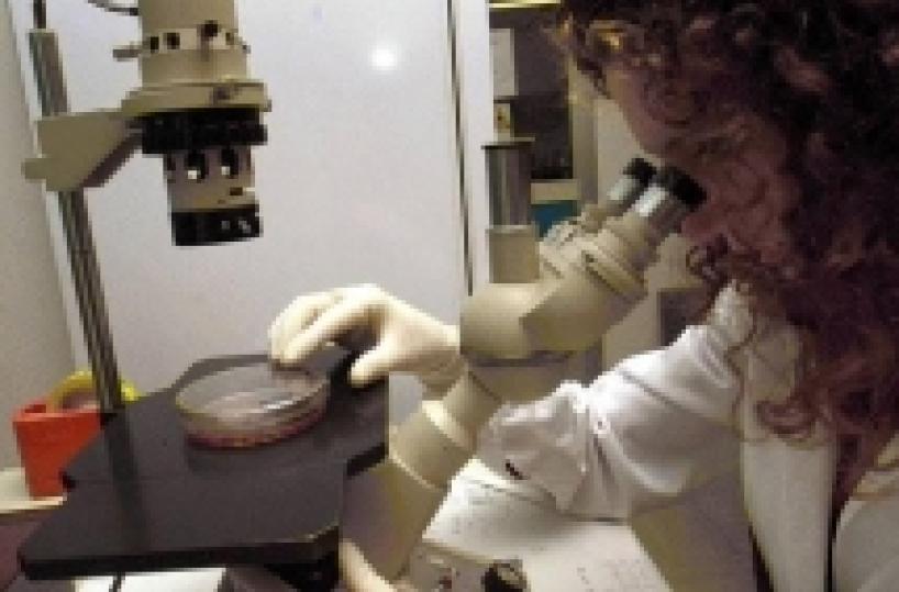 Innovazione e creativit&agrave; Sette storie di successo di&nbsp;imprese made in Bari