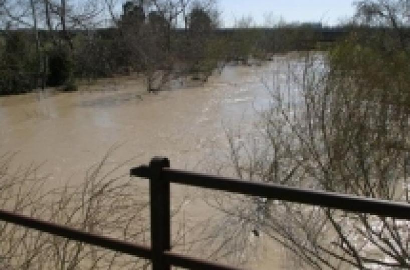 Dopo il maltempo, il Foggiano conta i danni e il fiume fa paura