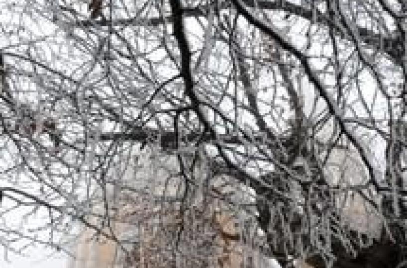 Maltempo: nuovo anno con il freddo