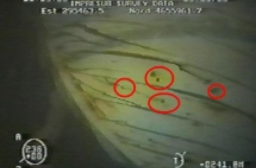 Il Francesco Padre in uno scenario di quasi guerra