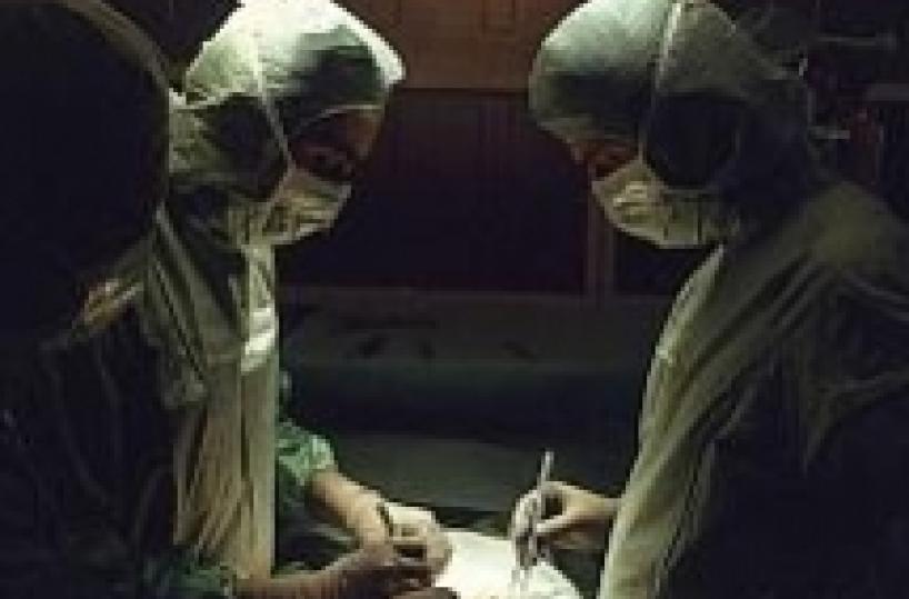 Brindisi, si esercita in sala operatoria su carne animale: ginecologo sotto procedimento