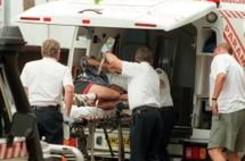 Australia: sopravvive a medusa letale