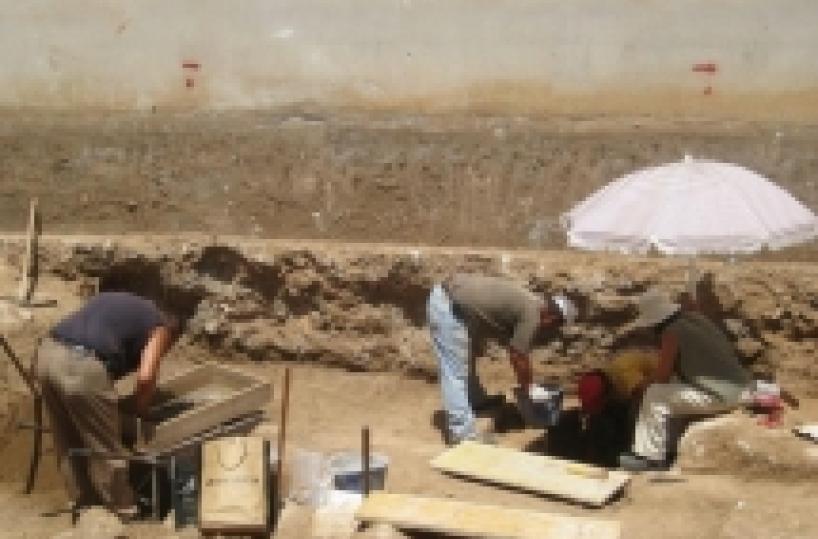 In Basilicata scoperta una reggia "Ikea" pronta all'assemblaggio