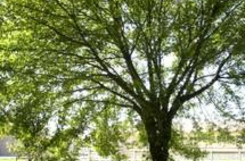 2/6: Coldiretti,200.000 in agriturismo