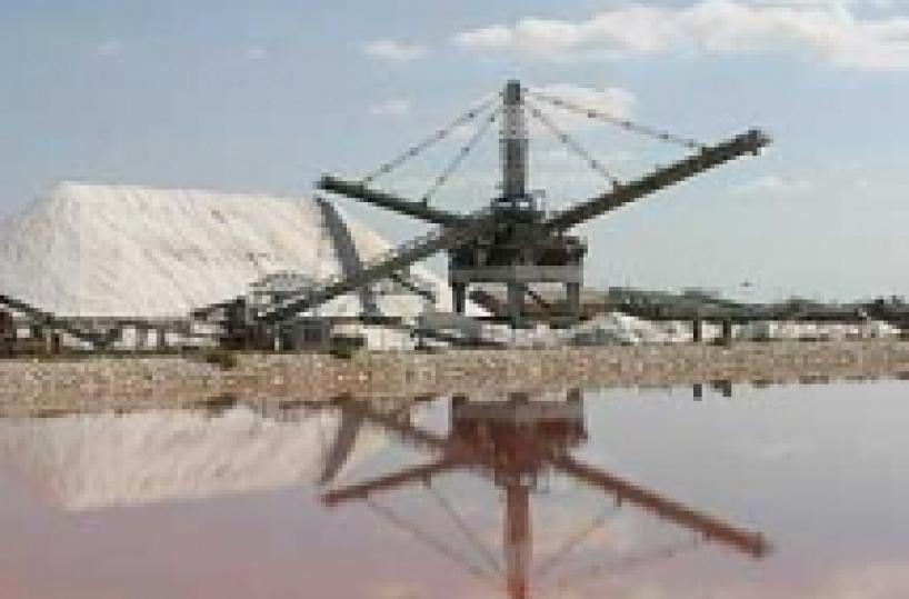 Trinitapoli, patto tra sei Comuni  per potenziare le zone umide