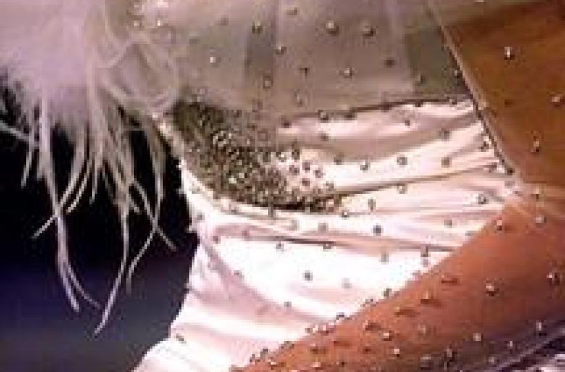 Frode da 10mln su abiti sposa5 imprenditori denunciati