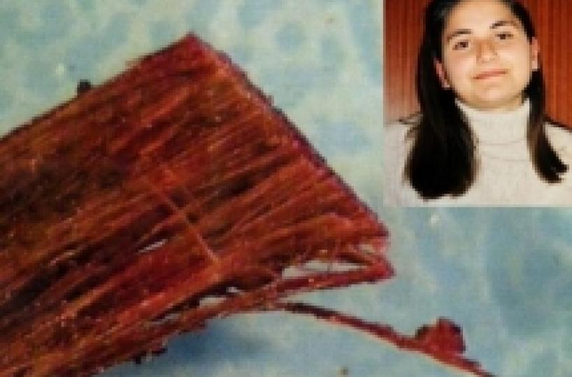 'Ciocche di Elisa tagliate  a mezz'ora dal decesso' Niente Dna di Restivo Le foto della perizia