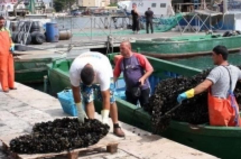 Taranto, smantellata organizzazione per la pesca di frodo Le immagini dei sequestri